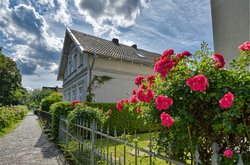 Rote Rosen an der Kanalstraße. Foto: Hans-Jürgen Zietz Rote Rosen an der Kanalstraße. Foto: Hans-Jürgen Zietz