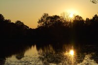 Sonnenuntergang am Dobbenteich