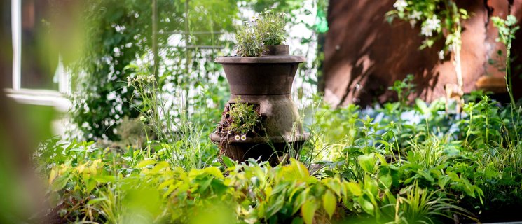 Detailansicht eines Pflanzgefäßes in einem Beet der Stadtgärten. Foto: 