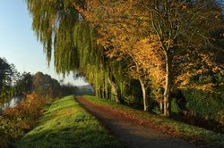 Herbstbunte Bäume an Hunte und Küstenkanal in Oldenburg. Foto: Hans-Jürgen Zietz