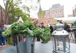 Grünkohl und gastronomisches Angebot auf dem Rathausmarkt. Foto: OTM/Sascha Stüber