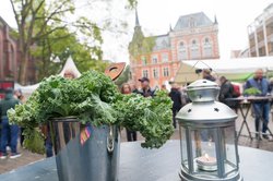 Grünkohl und gastronomisches Angebot auf dem Rathausmarkt. Foto: OTM/Sascha Stüber