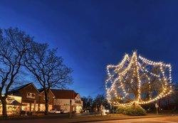 Lichtereiche Ofelia im Oldenburger Stadtteil Ofenerdiek. Foto: Hans-Jürgen Zietz