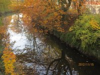 Wallanlage im Herbst 2012. Foto: Werner Fuhlrott