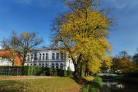 Herbst in den Wallanlagen. Foto: Hans-Jürgen Zietz