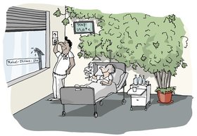 Krankenpfleger, Patientin und eine große Pflanze in einem Krankenhauszimmer. Illustration: Hannes Mercker