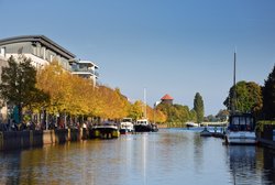 Linden in Herbstfärbung am Oldenburger Stadthafen. Foto: Hans-Jürgen Zietz