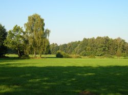 Grünland mit feuchter Senke. Foto: Stadt Oldenburg