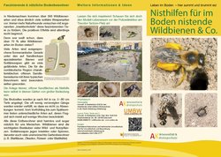 Flyer „Nisthilfen für im Boden lebende Wildbienen“. Gestaltung: Rolf Witt, Stadt Oldenburg