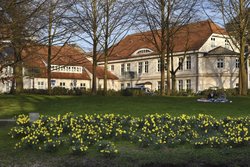 Frühlingsblüten in den Oldenburger Wallanlagen. Foto: Hans-Jürgen Zietz