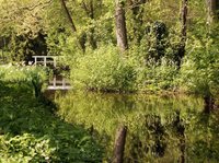 Impressionen vom Schlossgarten