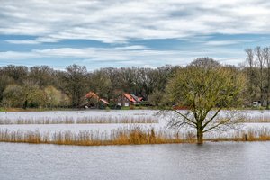 Überflutetes Gebiet an der Hunte und dem Osternburger Kanal. Foto: Hans-Jürgen Zietz Überflutetes Gebiet an der Hunte und dem Osternburger Kanal. Foto: Hans-Jürgen Zietz