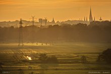 Donnerschweer Wiesen im goldenen Licht. Foto: Hergen Weyrich