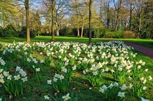 Frühlingstage im Oldenburger Schlossgarten. Foto: Hans-Jürgen Zietz