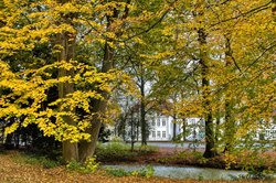 Bäume in Herbstfärbung in der Oldenburger Innenstadt. Foto: Hans-Jürgen Zietz Bäume in Herbstfärbung in der Oldenburger Innenstadt. Foto: Hans-Jürgen Zietz