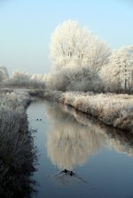 Drögenhasenweg im Winter