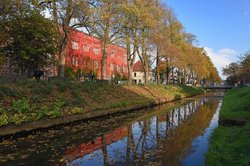 Wilder Wein in Herbstfärbung am Alten Zeughaus, im Vordergrund die Haaren. Foto: Hans-Jürgen Zietz