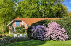 Frühlingsblüten im Oldenburger Schlossgarten. Foto: Hans-Jürgen Zietz