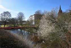 Schlehdorn in den Wallanlagen. Foto: Hans-Jürgen Zietz.  