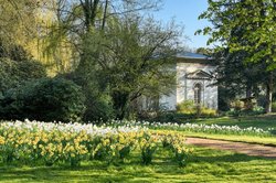 Oldenburger Schlossgarten. Foto: Hans-Jürgen Zietz