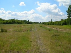 Bahndammgelände Krusenbusch. Foto: Stadt Oldenburg