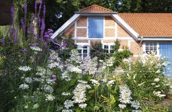 Sommerliche Atmosphäre im Oldenburger Schlossgarten. Foto: Hans-Jürgen Zietz