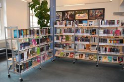 Bücherregale in der Stadtbibliothek. Foto: Sophie