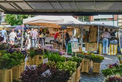 Blumen auf dem Wochenmarkt Rathausmarkt mit Kaffeestand im Hintergrund. Foto: Sascha Stüber Blumen auf dem Wochenmarkt Rathausmarkt mit Kaffeestand im Hintergrund. Foto: Sascha Stüber