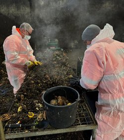 Mitarbeiterinnen und Mitarbeiter des ABWs sowie des Fachdienstes Klimaschutz untersuchten Proben aus Bio- und Restabfällen auf zu früh entsorgte Lebensmittel. Foto: Stadt Oldenburg