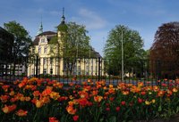 Das Oldenburger Schloss im Frühlingsschmuck. Foto: Hans-Jürgen Zietz