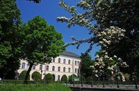 Weiß- und Rotdornblüte am Oldenburger Haarenufer