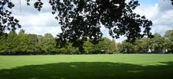 Blick auf die Dobbenwiese. Foto: Stadt Oldenburg