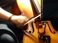 Cellist. Foto: Stadt Oldenburg